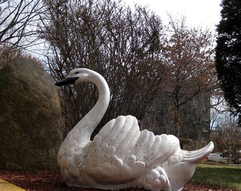 Plastic Swan | Kristine Paulus | Flickr