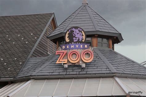 Visiting the Denver Zoo in the Rain - Clever Housewife