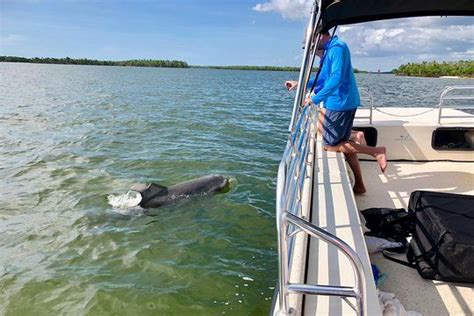 2024 Ten Thousand Islands Boat Tour up to 12 people | Wildlife tour ...