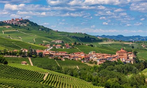 Barolo Wineries Tour, 1 day Langhe Experience • Alba Wine Tours, Italy