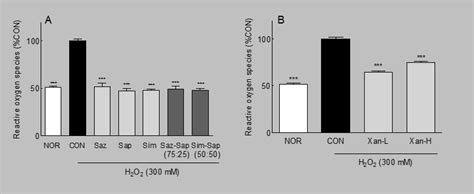 Effect of (A) hops and hop mixtures and (B) xanthohumol on ROS ...