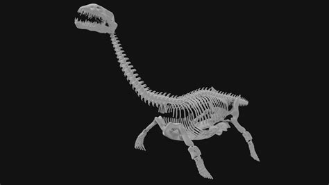 Plesiosaur Skeleton 3d model Low Poly - Team 3d Yard