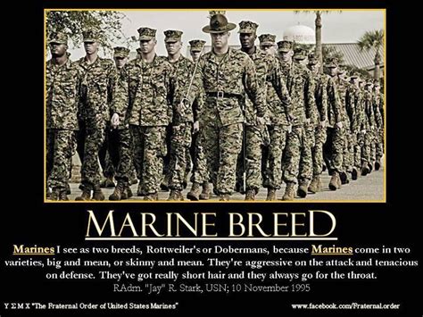 Motivational Usmc Quotes. QuotesGram | Marine corps, Usmc quotes, Marines