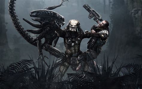 10 New Alien Vs Predator Wallpaper FULL HD 1080p For PC Background 2024