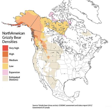 Montana Grizzly Bear Numbers Map