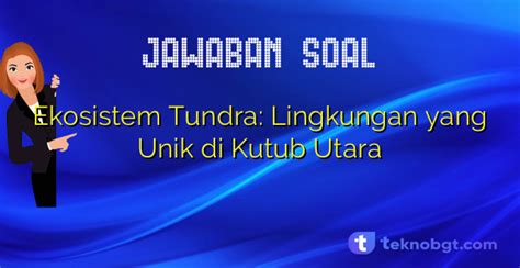 Ekosistem Tundra: Lingkungan yang Unik di Kutub Utara