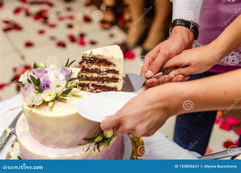 Cutting the wedding cake stock image. Image of hands - 133806631