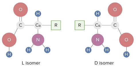 Basics of Amino Acids | Concise Medical Knowledge