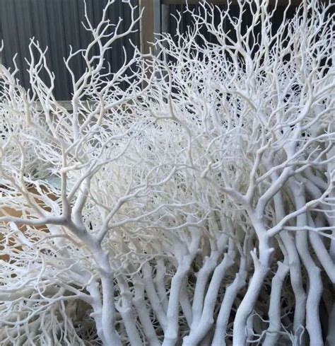 Party Decorations Props White Coral Tree Branches Centerpiece | Tree ...