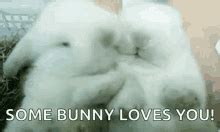 Snuggle Bunny GIFs | Tenor