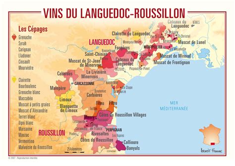 Discover The Languedoc Roussillon Wine Region