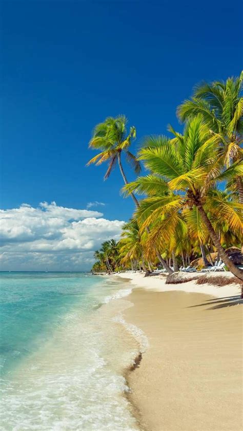 Sunny Tropical Beach Wallpapers - Top Free Sunny Tropical Beach ...