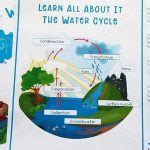 12 Water Cycle Activities for 2nd Graders Kids Activities Blog