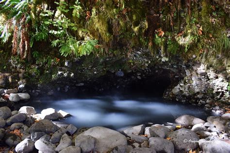 Deer Creek Hot Springs aka Bigelow - Soaking in the Fern Grotto - Oregon Discovery