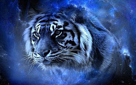 Majestic Blue Tiger: An HD Wallpaper Highlight