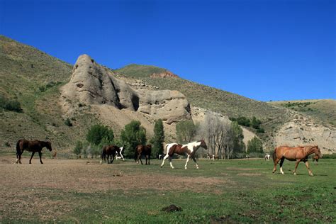 The Top 3 Most Stunning Ranches for Sale in Wyoming