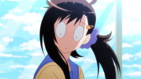 Nisekoi | Wiki | Anime Amino