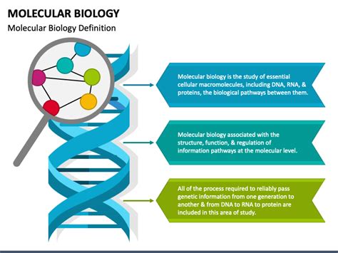 Top 109+ Biology animations for powerpoint - Merkantilaklubben.org