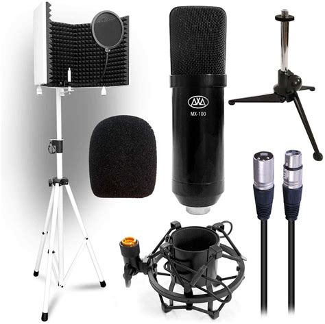 Top 10 Best Studio Microphones in 2024 Reviews | Recording Studio