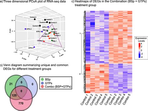 Transcriptome analyses across BSp, GTPs and Combination (BSp + GTPs)... | Download Scientific ...