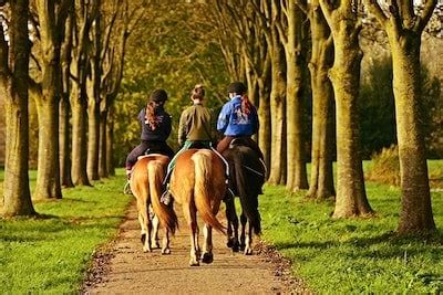 16 Horse Trail Riding Tips: Ultimate Guide