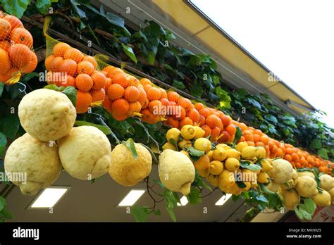 Citrus fruits, Amalfi Coast food specialties Stock Photo - Alamy