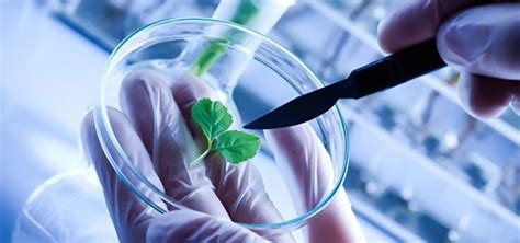 BTECH/BE Biotechnology Colleges in Bangalore | Direct Admission for Best BTECH/BE Biotechnology ...