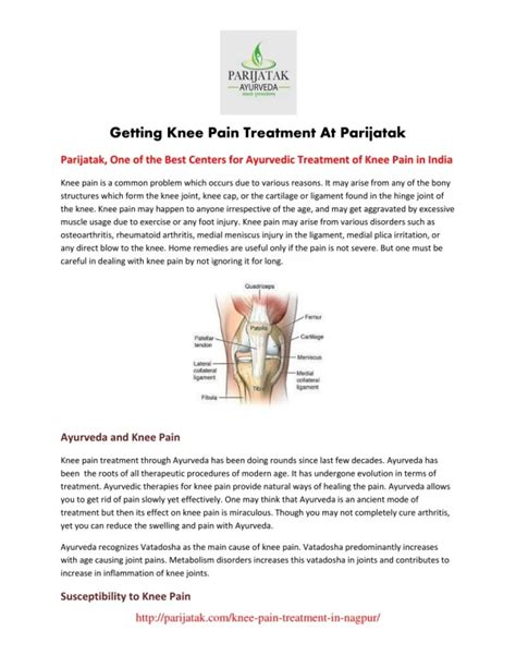 PPT - Pain Relief Treatment Approaches Utilized by Knee Pain Clinics ...