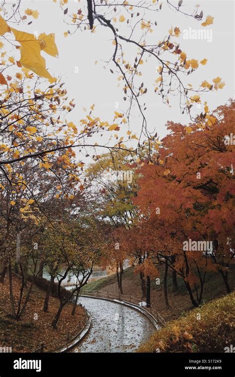 Autumn season in South Korea Stock Photo - Alamy