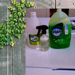 HOW TO CLEAN SOAP SCUM (ON SHOWER DOORS AND WALLS)