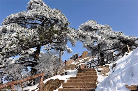 Yellow Mountain in Winter, Travel Photos of Yellow Mountain China, Mt ...