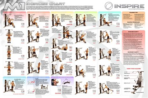 Home Gym Exercises Chart Pdf - Infoupdate.org | Gym workout chart, Workout chart, Home gym exercises