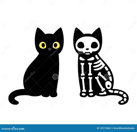 Cartoon Cat Skeleton Vector Illustration | CartoonDealer.com #125174462