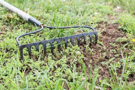 Tips on Reseeding a Lawn | Hunker