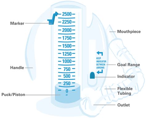 Incentive Spirometer Chart Male