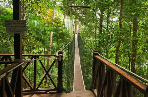 2. Taman Negara National Park