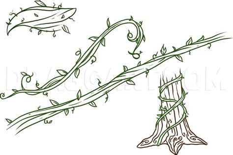 How To Draw Vines, Step by Step, Drawing Guide, by Dawn | dragoart.com ...