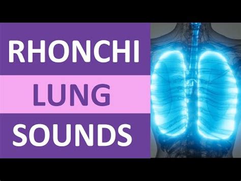 Rhonchi Lung Sounds Quiz