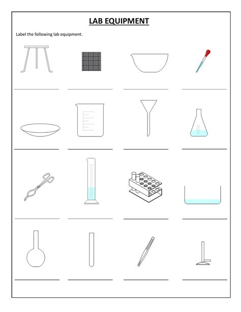 7 Best Images Of Identifying Science Tools Worksheet - vrogue.co