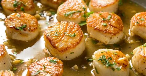 Scallops