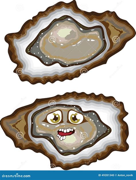 Vector Oysters Stock Vector - Image: 49281340