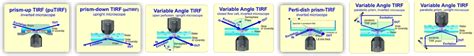 Prism-based TIRF Microscopy – tirf-labs.com