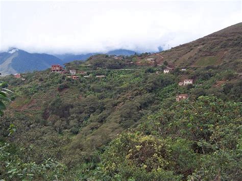 Yungas Road (Bolivia) | World Easy Guides