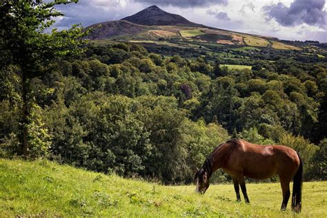 Wicklow Mountains National Park | Glenview Hotel Wicklow