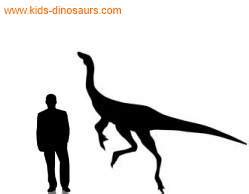 Ornithomimus - Dinosaur Facts for Kids