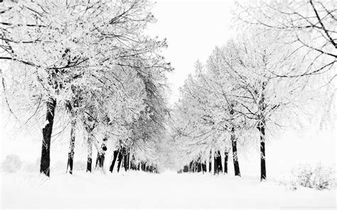 Winter - Winter Wallpaper (37951484) - Fanpop