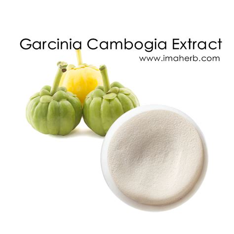 Garcinia Cambogia Extract, Hydroxycitric Acid, Garcinia Cambogia Fruit ...