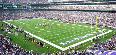 The New Grass Turf at the Baltimore Ravens’ Stadium