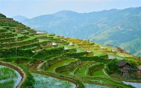 8 Most Breathtaking Rice Terraces In Asia