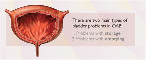 Overactive bladder | Overactive Bladder Symptoms | Bladder control women | Bladder infection symptom